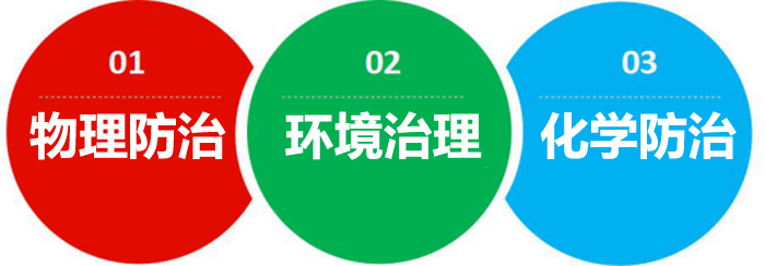 灭臭虫