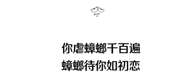 灭蟑螂图片大全_蟑螂灭蟑螂_蟑螂灭除方法