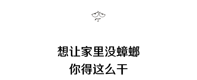 蟑螂灭蟑螂_蟑螂灭除方法_灭蟑螂图片大全
