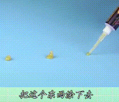 蟑螂灭蟑螂_蟑螂灭除方法_灭蟑螂图片大全