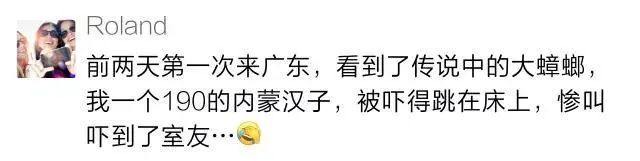 蟑螂灭蟑螂_蟑螂灭除方法_灭蟑螂图片大全