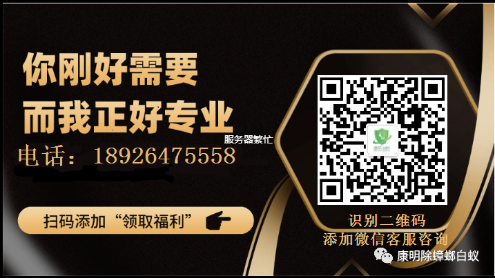 老鼠怎么灭绝妙招_灭老鼠的方法有哪些_老鼠如何灭